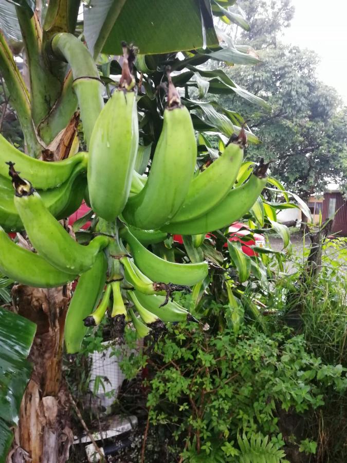 Monteverde Ecolove 外观 照片