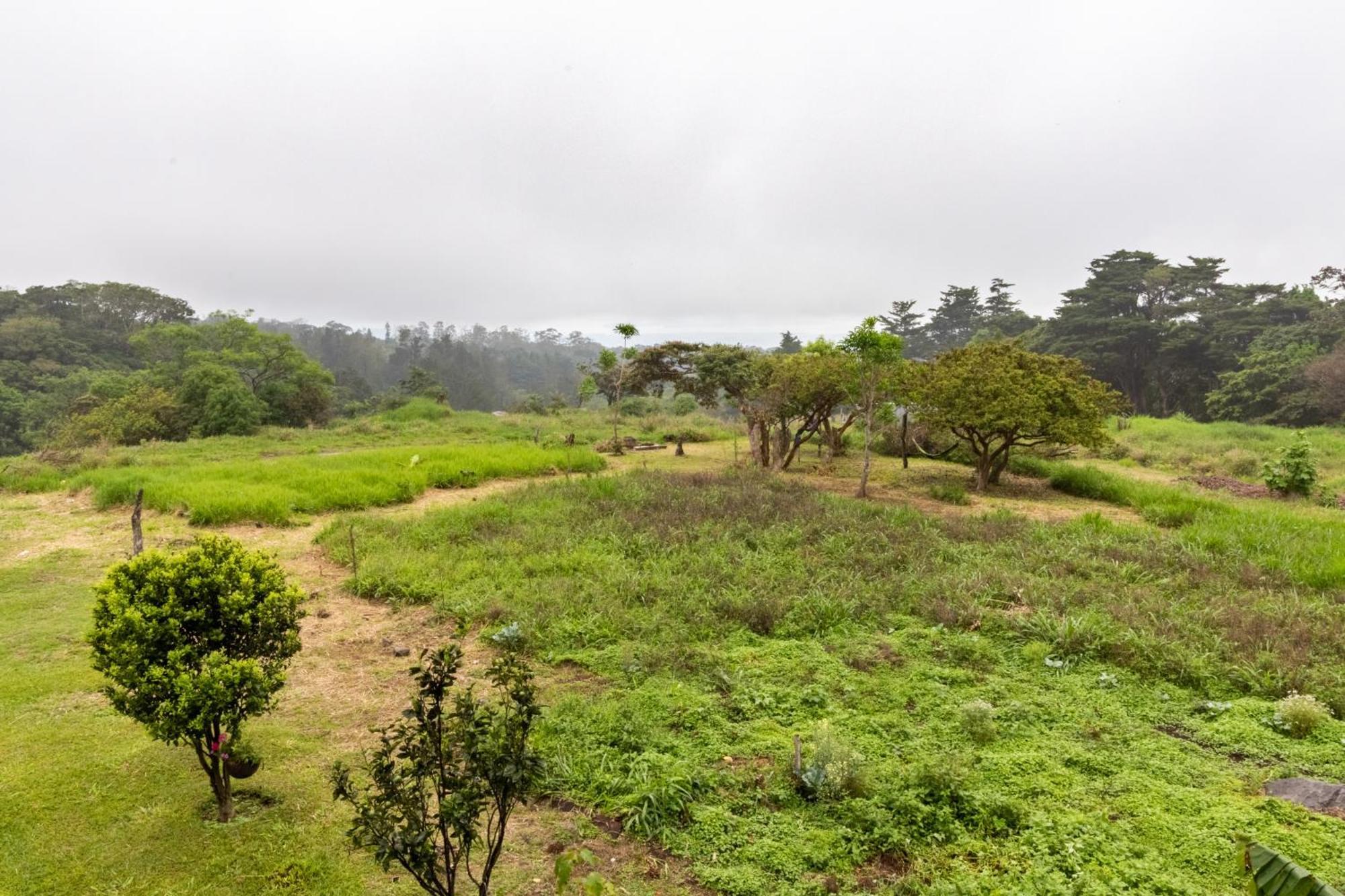 Monteverde Ecolove 外观 照片